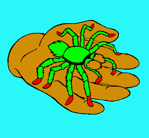 Tarántula