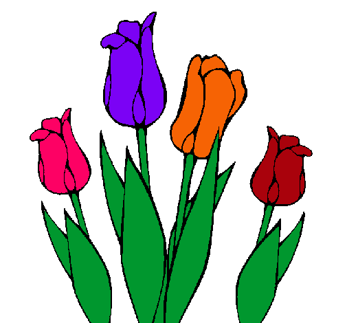 Tulipanes