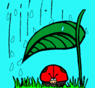 Dibujo Mariquita protegida de la lluvia pintado por hbhgyg