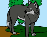 Dibujo Lobo pintado por wolf