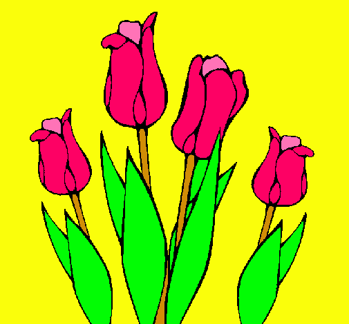 Tulipanes