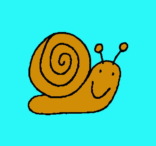 Caracol 4