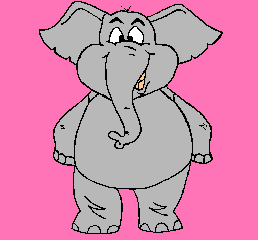 Elefante contento