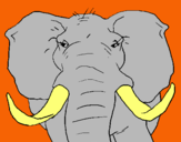 Dibujo Elefante africano pintado por 0992