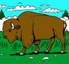 Dibujo Búfalo  pintado por liseth