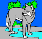 Dibujo Lobo pintado por agumon
