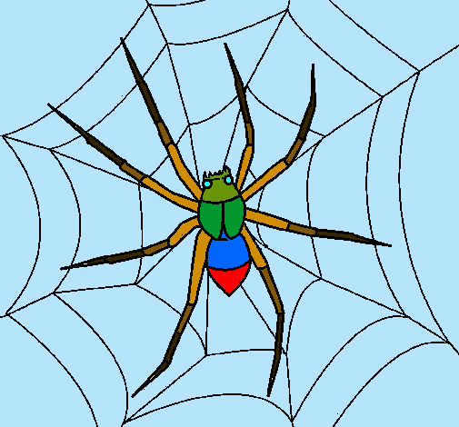 Araña