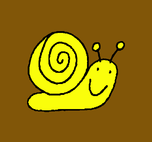 Caracol 4