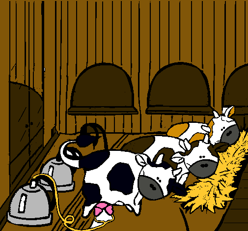 Vacas en el establo