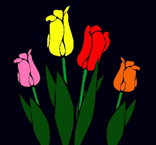 Tulipanes