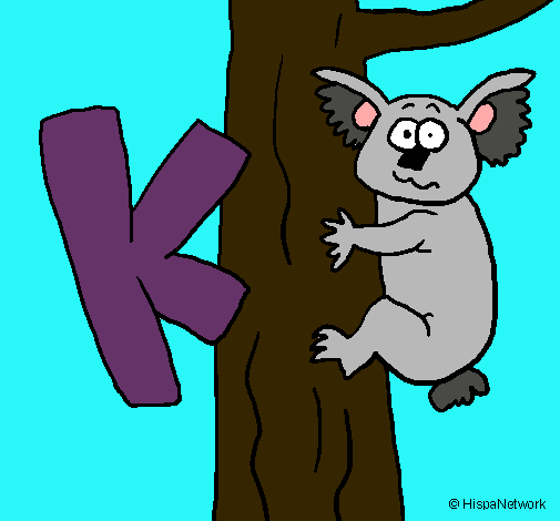 Koala