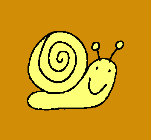 Caracol 4