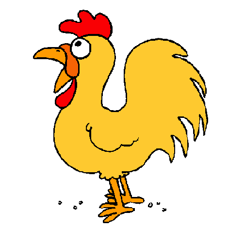 Gallo de granja