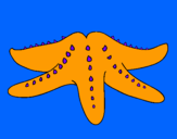 Dibujo Estrella de mar pintado por chelsea