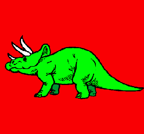 Triceratops