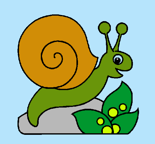 Caracol