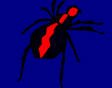 Dibujo Araña viuda negra pintado por jhjfkhfg
