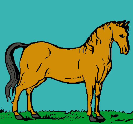 Caballo andaluz