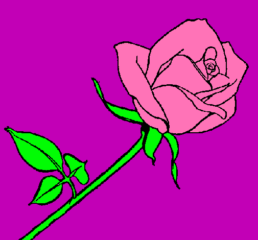 Dibujo Rosa pintado por Mariangela