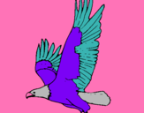 Dibujo Águila volando pintado por nela