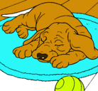 Dibujo Perro durmiendo pintado por dormilon