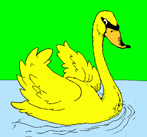 Cisne en el agua