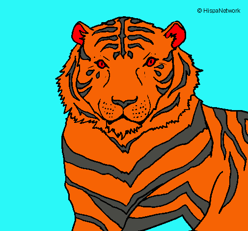 Tigre