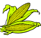 Dibujo Mazorca de maíz pintado por yury