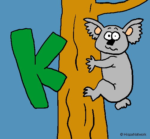 Koala