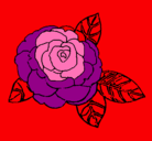 Dibujo Rosa pintado por natu