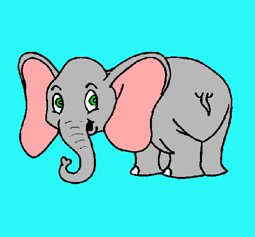 Elefante pequeño