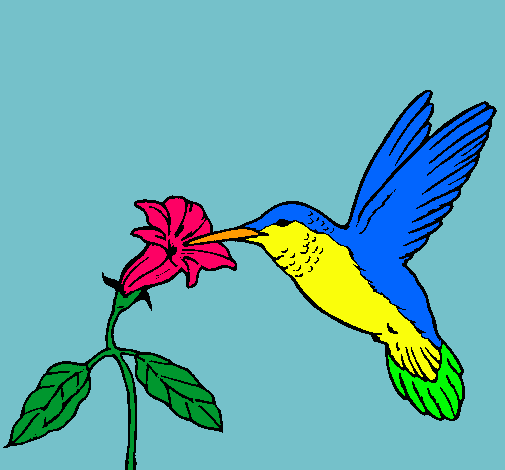 Dibujo Colibrí y una flor pintado por palithax
