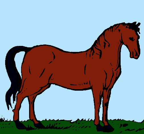 Caballo andaluz