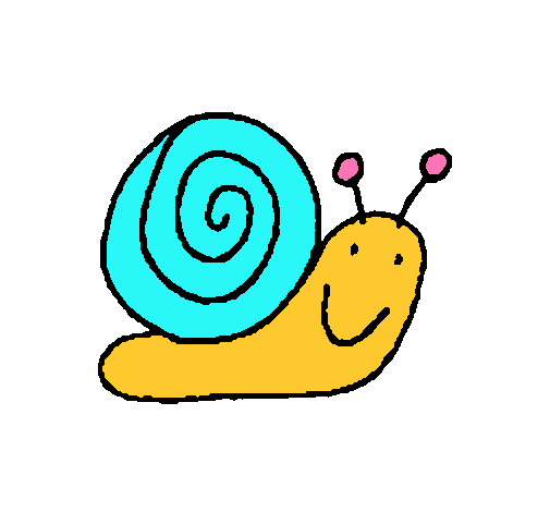 Caracol 4