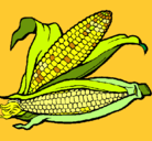 Dibujo Mazorca de maíz pintado por noralis