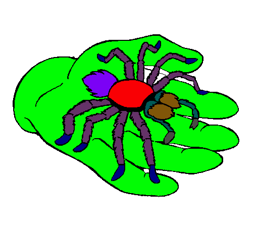 Tarántula