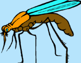 Dibujo Mosquito pintado por alejandrito