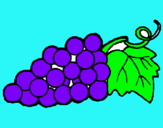 Dibujo racimo pintado por uvas