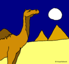 Dibujo Camello pintado por dragonasakur
