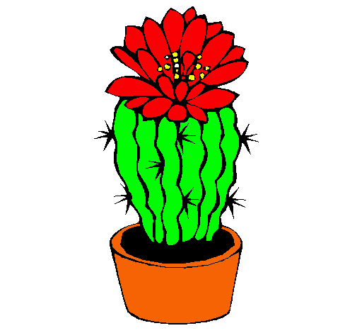 Cactus con flor