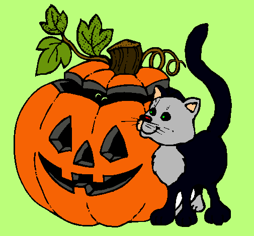 Calabaza y gato