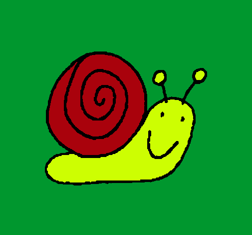 Caracol 4