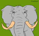 Dibujo Elefante africano pintado por yazmile