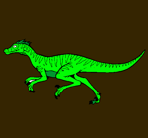 Velociraptor