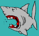 Dibujo Tiburón pintado por IVANCHU