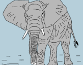 Dibujo Elefante pintado por maruya