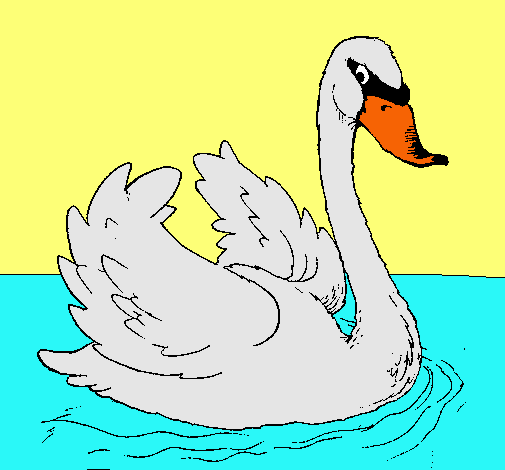 Cisne en el agua