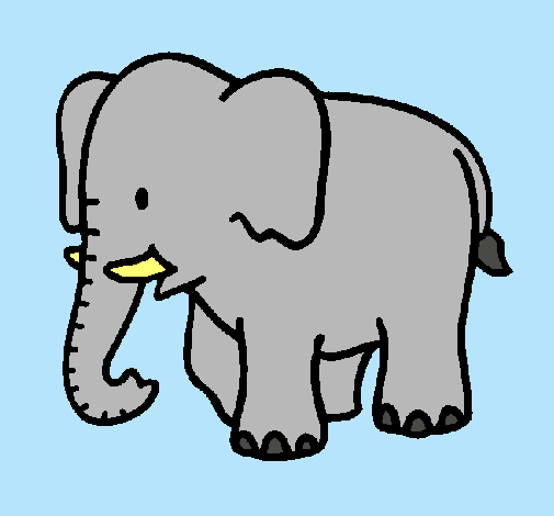 Elefante bebe