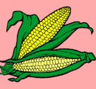 Dibujo Mazorca de maíz pintado por tania329