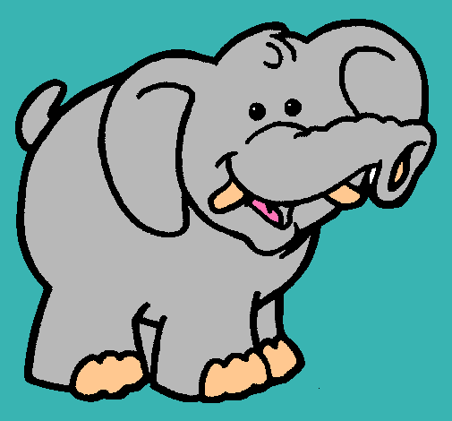 Elefante